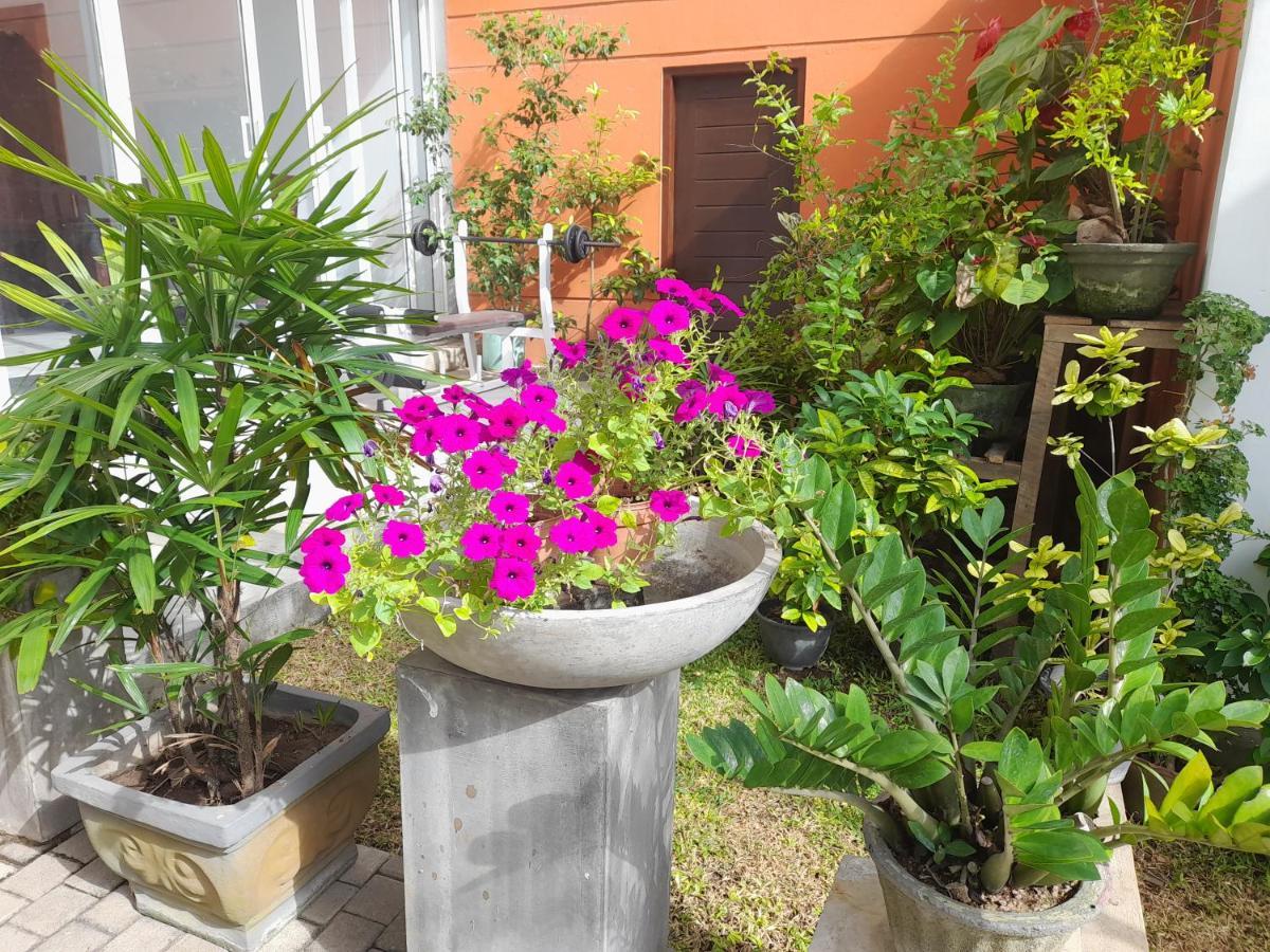 Hotel Marine At Negombo Beach เนกอมโบ ภายนอก รูปภาพ